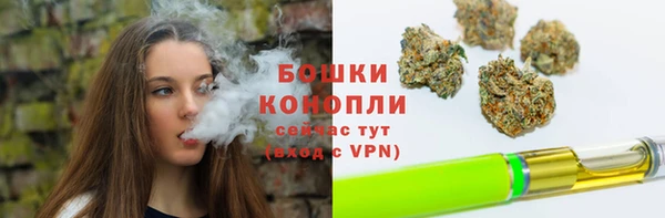 spice Абаза