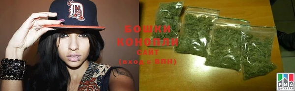 молекула духа Снежногорск