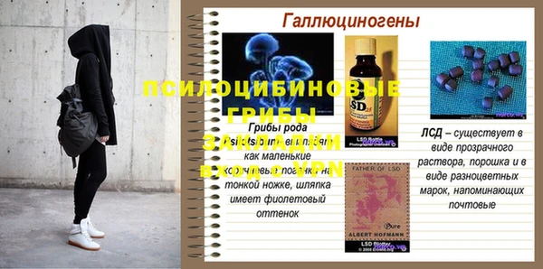 spice Абаза