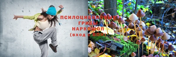 трава Абинск